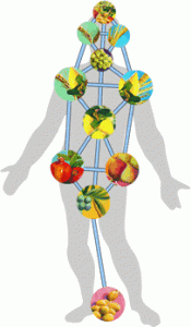 bodyfruitsefirot