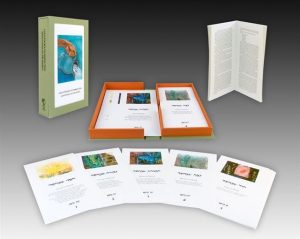 countdown_to_perfection